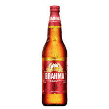 Brahma 600 ml | Apenas o liquido