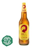 Skol 600ml | Apenas o Líquido